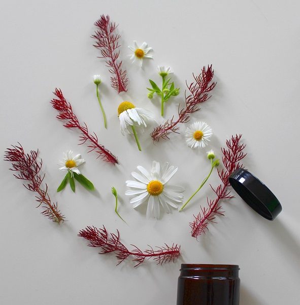 natural beauty remedies