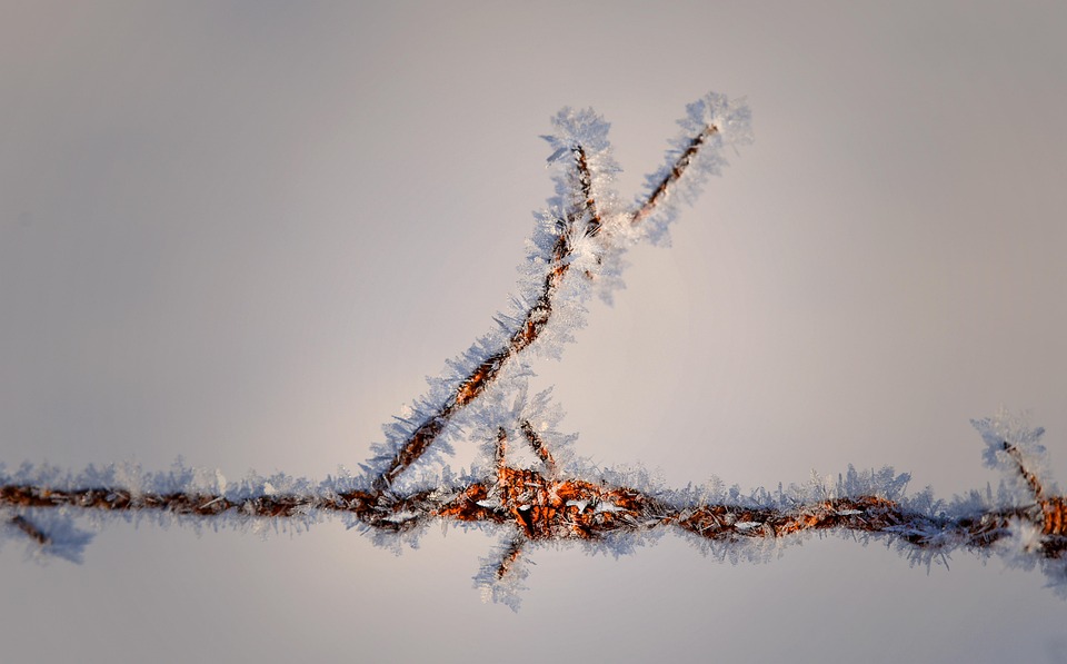 winter skincare tips