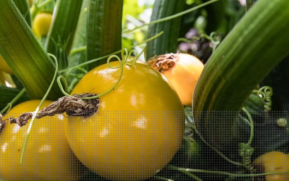 how to choose foundation